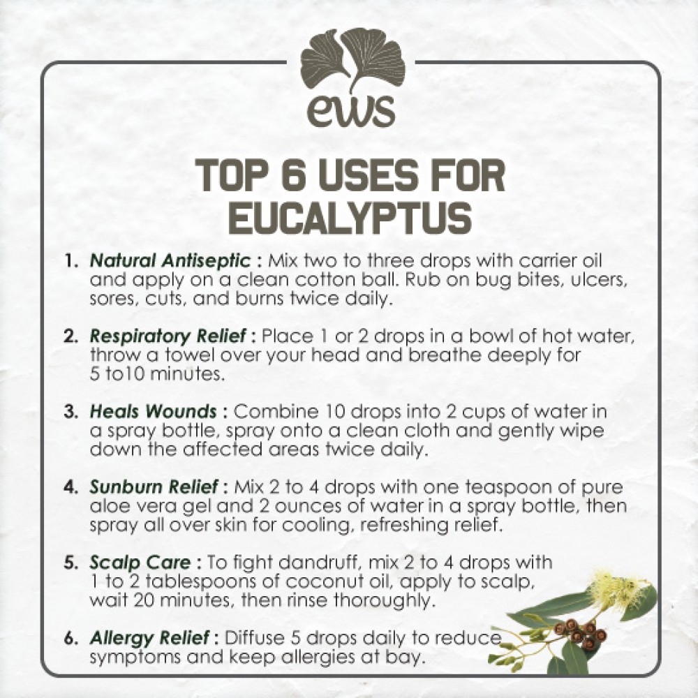 EUCALYPTUS ESSENTIAL OIL 10ML