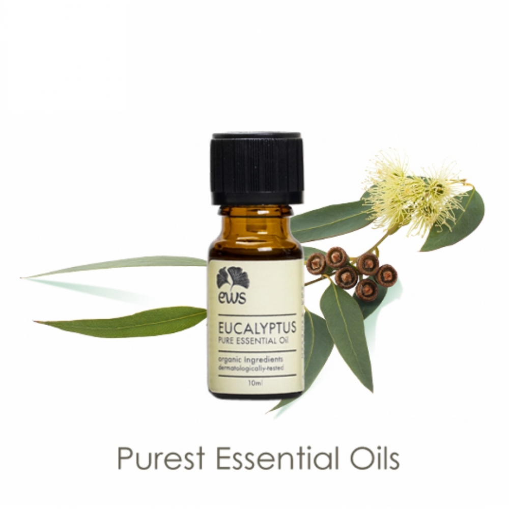 EUCALYPTUS ESSENTIAL OIL 10ML