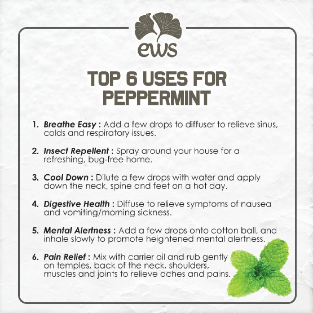 PEPPERMINT ESSENTIAL OIL 10ML